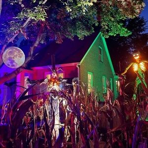 Meet your Posher, Dan